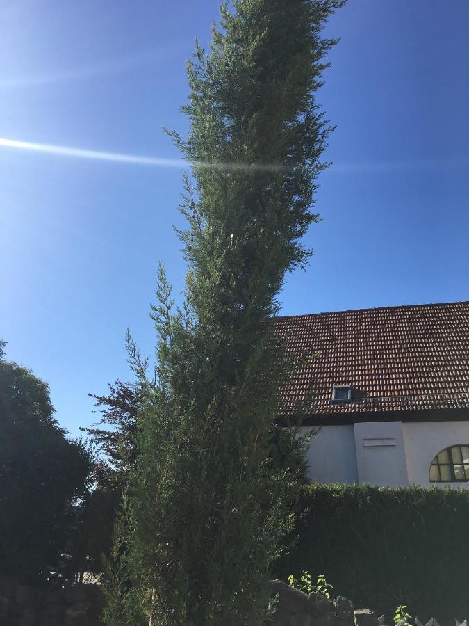 Tor Zum Pfaelzerwald Daire Pirmasens Dış mekan fotoğraf